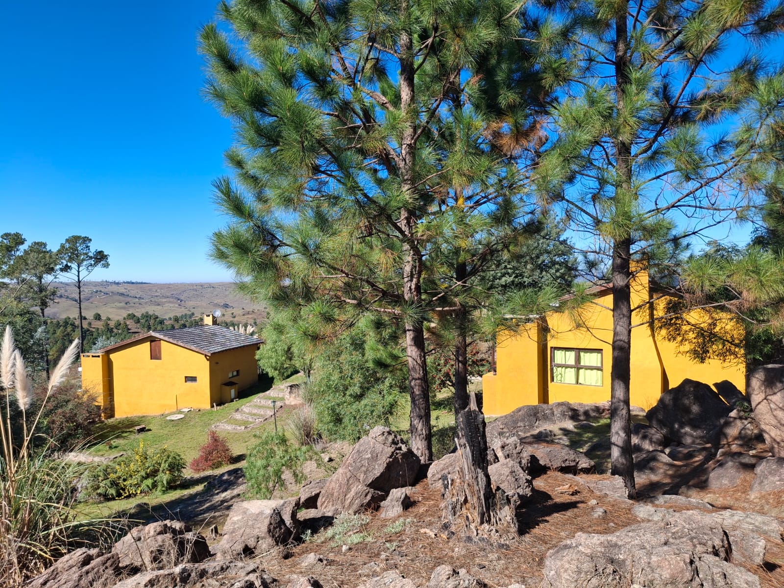 Cabañas entre pinos y rocas