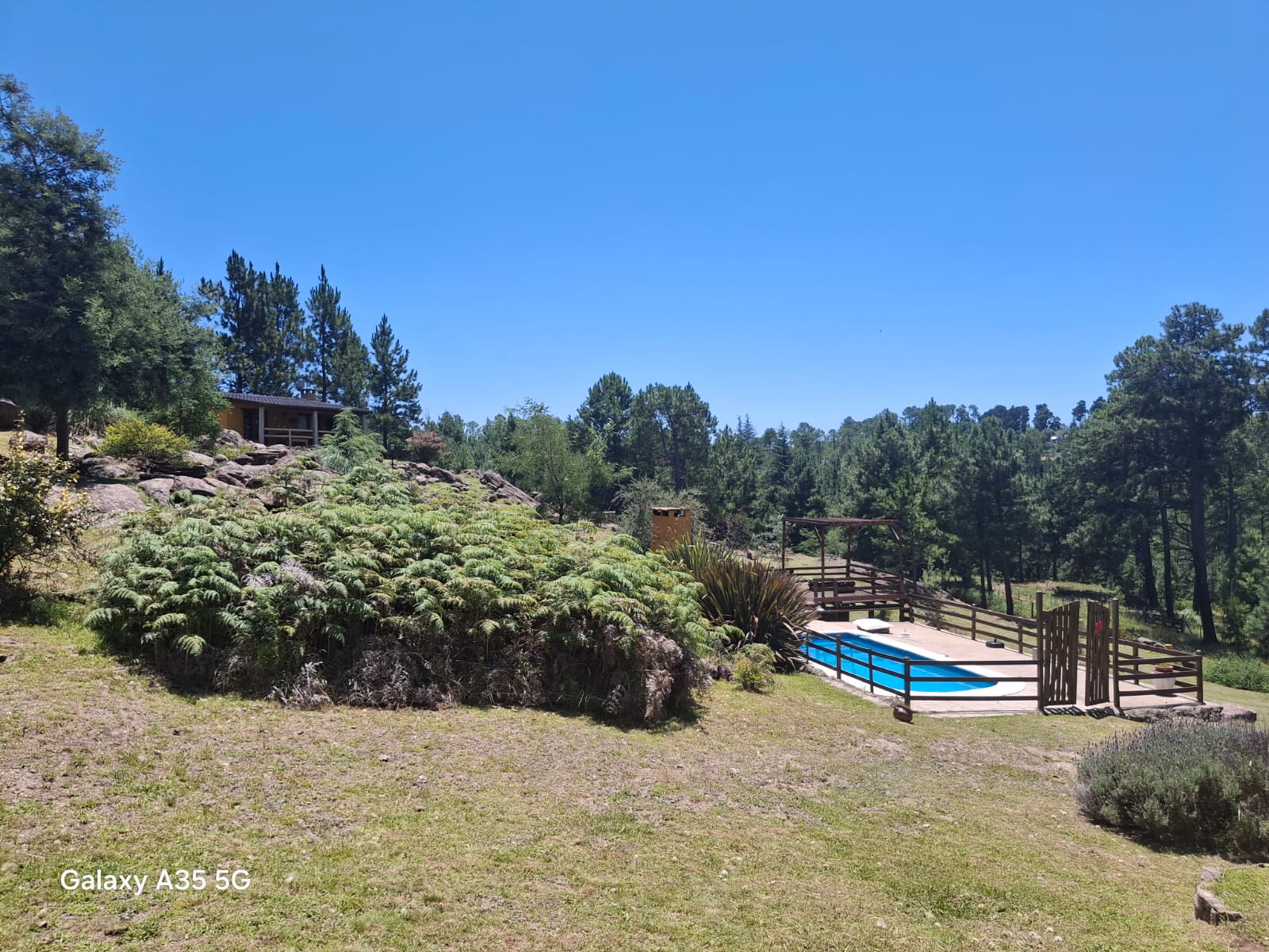 Piscina y parque del complejo