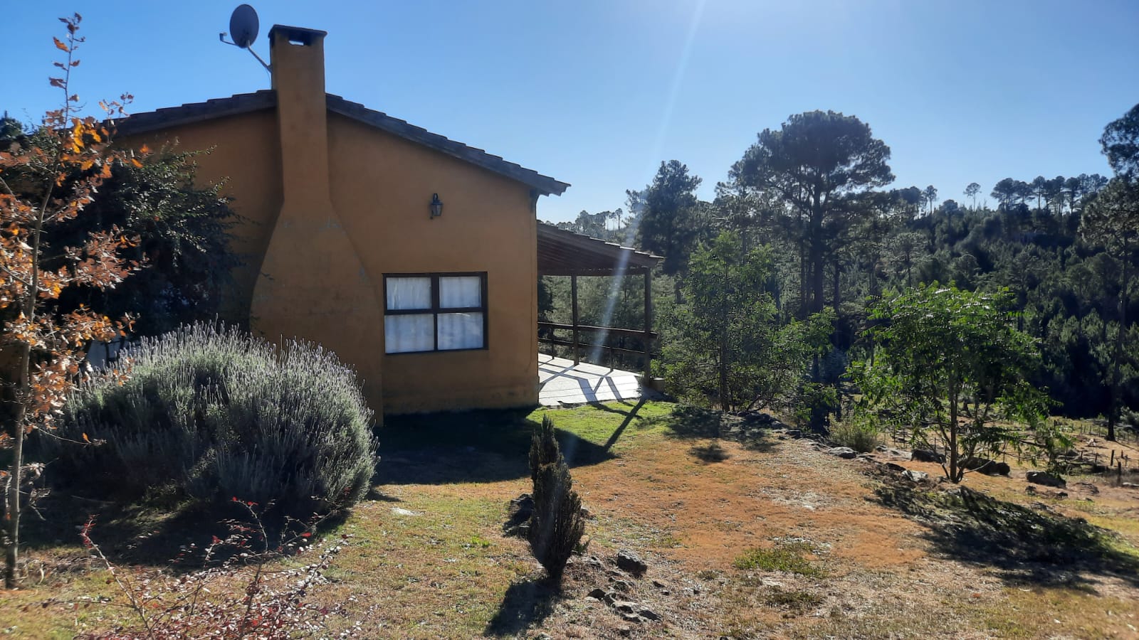 Cabaña y galería con vista al bosque