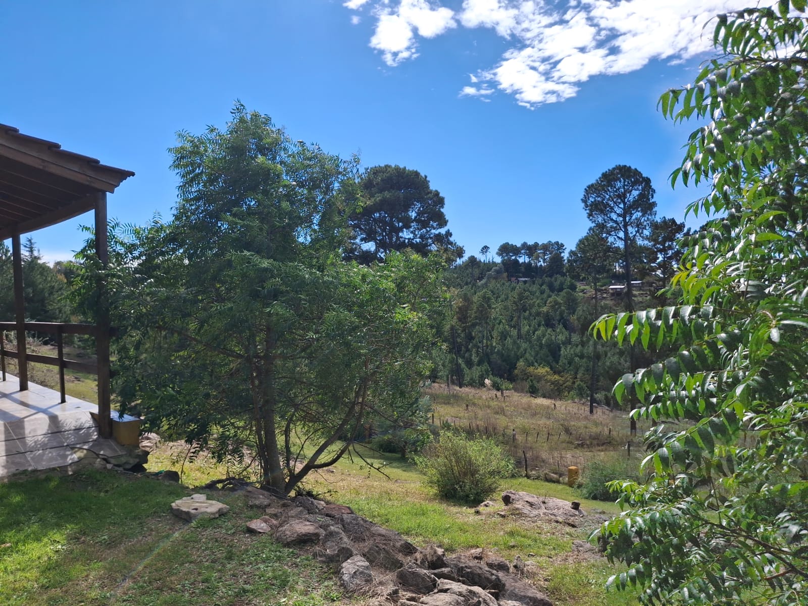 Vista al bosque desde el complejo