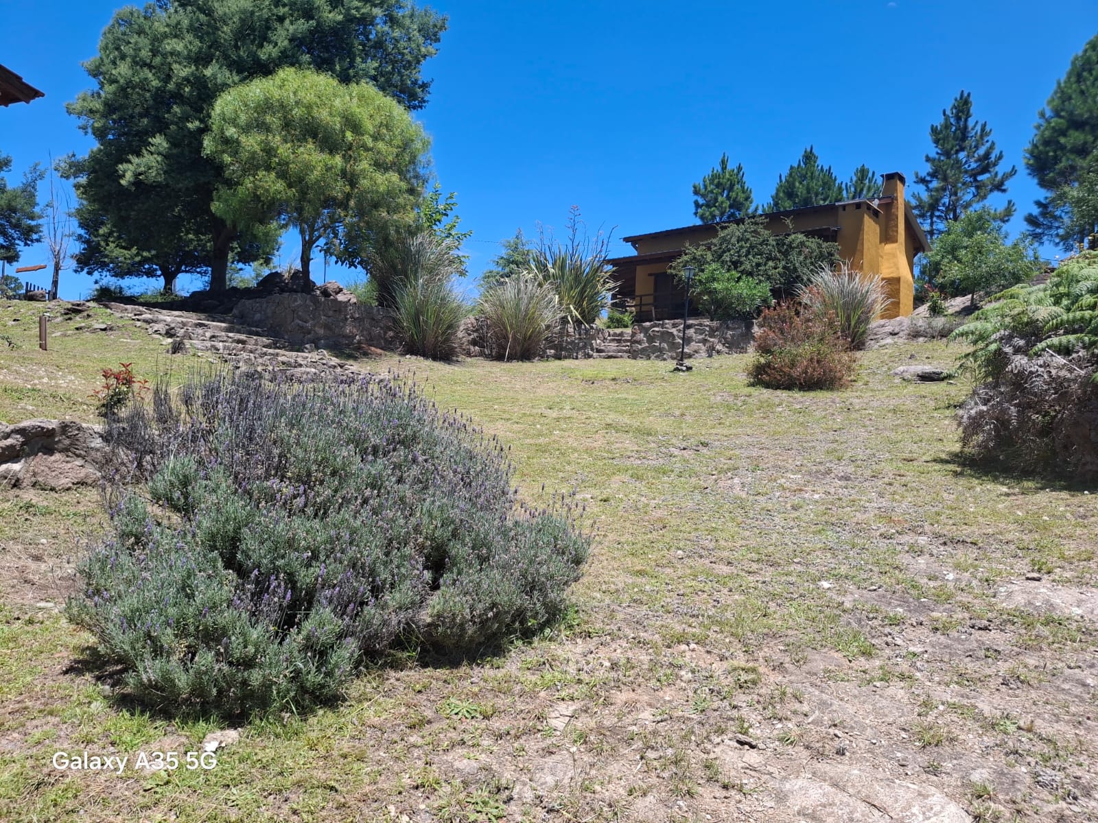 Jardín y cabaña del complejo