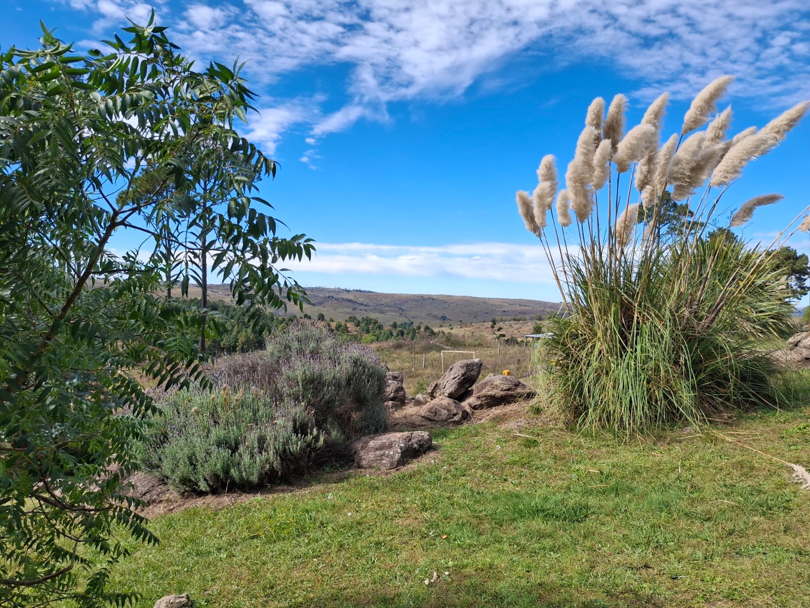 Paisaje natural del complejo