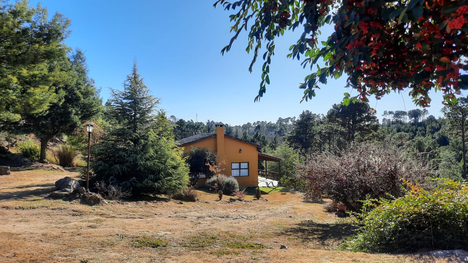 Cabaña en entorno de bosque